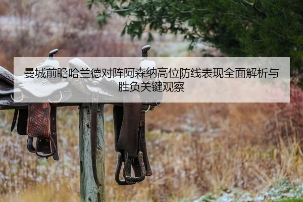 曼城前瞻哈兰德对阵阿森纳高位防线表现全面解析与胜负关键观察